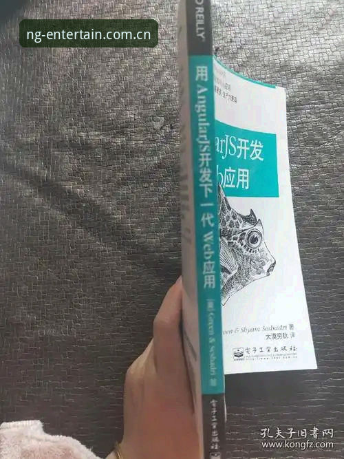 NG娱乐官方网站 揭秘NG娱乐官方网站全新正版体验:技术评测与版本迭代背后的真相